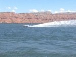 IMG_1507.jpg